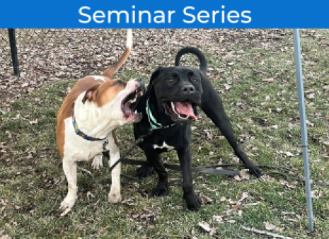 Seminar Series