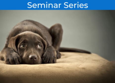 Seminar Series