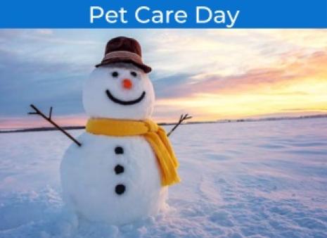 Pet Care Day