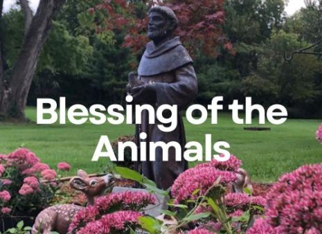 Blessing of the Animals