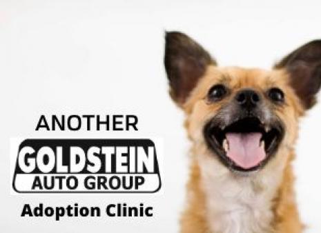 Goldstein Adoption Day